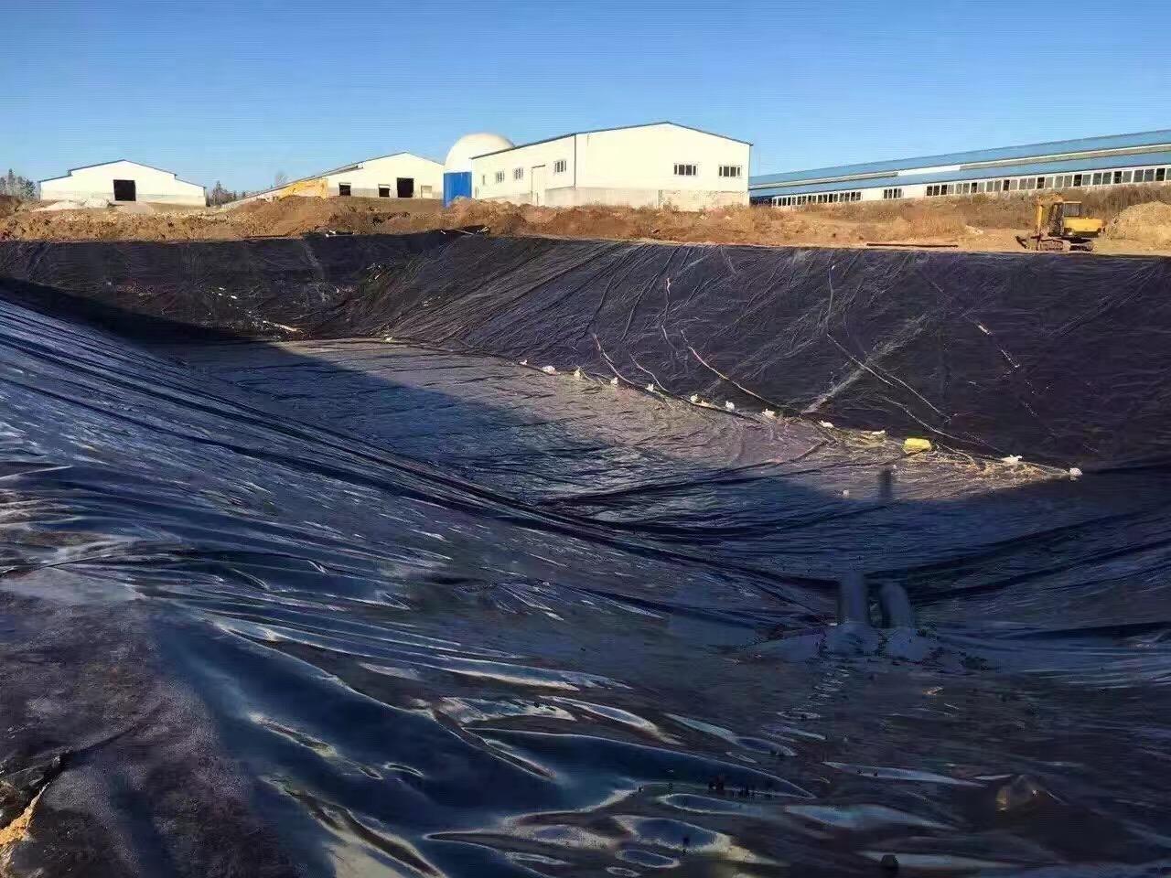 水庫鋪設土工膜底部墊層15cm細沙的作用?