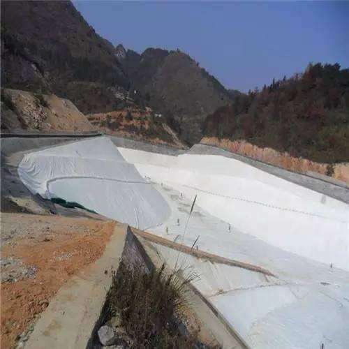 工程中常見的復合型土工材料有哪些呢?