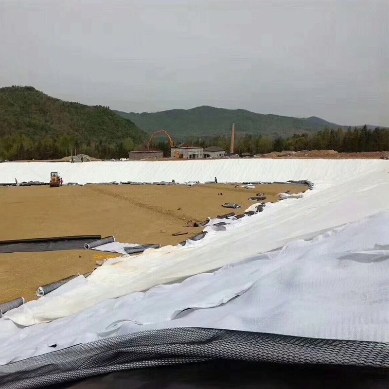設計容積50萬m3的調蓄水池防滲體采用方式？