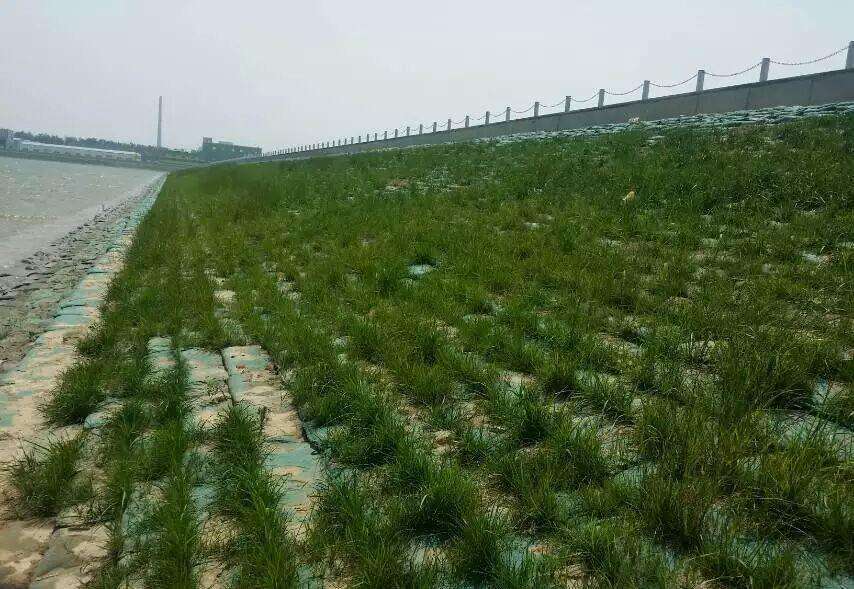常用的海島邊坡修復技術有哪些？如何修復海島邊坡？