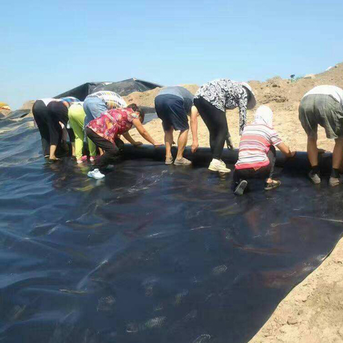 結合場地周邊情況以及圍堰工程使用要求，圍堰等級是多少